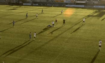 1604288805479546.gif