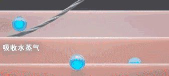 19.gif 图片