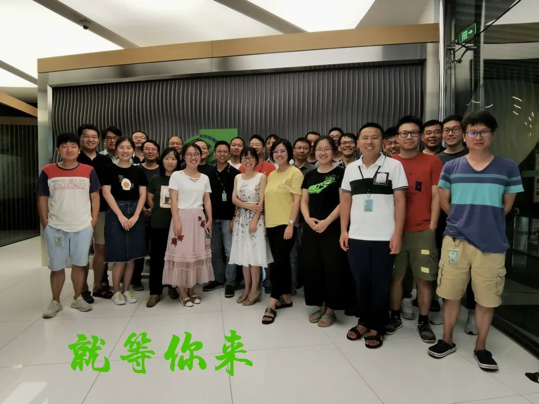 nvidia-ip