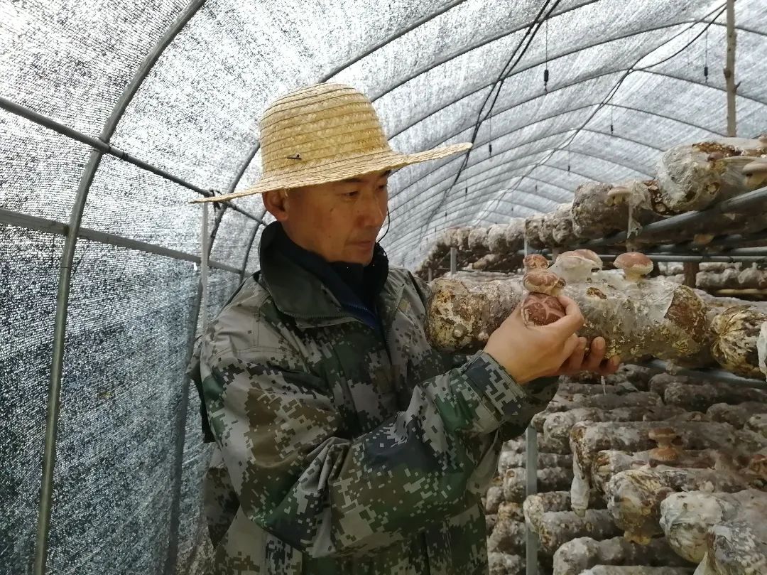 令京干4.jpg 图片